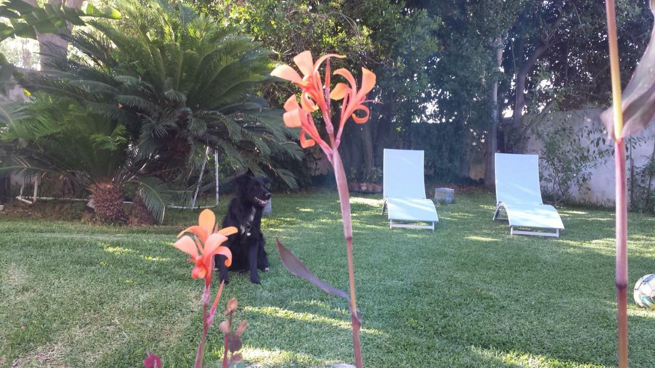A Casa Di Marley Apartman Lecce Kültér fotó